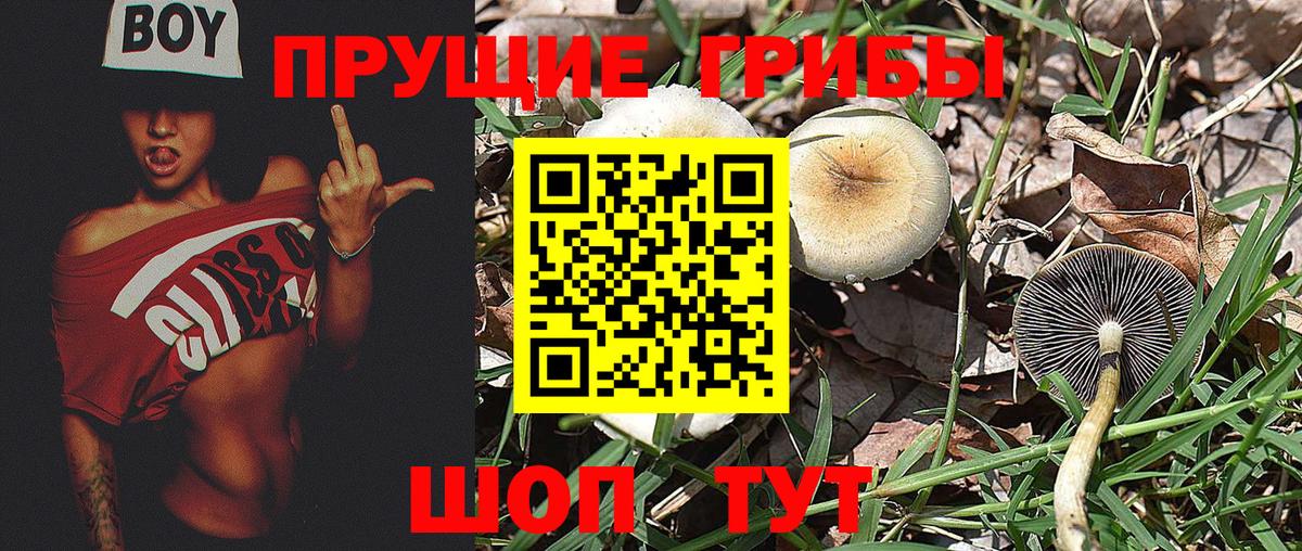 Галлюциногенные грибы Magic Shrooms  Вход с VPN  наркотики  Выборг 